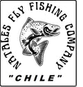 PRUEBA